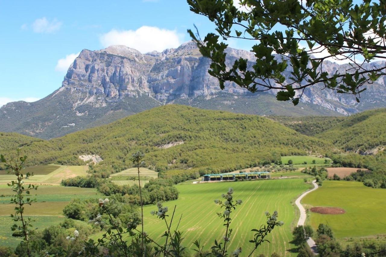 Preciosas Vistas A La Montana, Luminoso Y Acogedor Apartment El Pueyo de Araguás Екстериор снимка