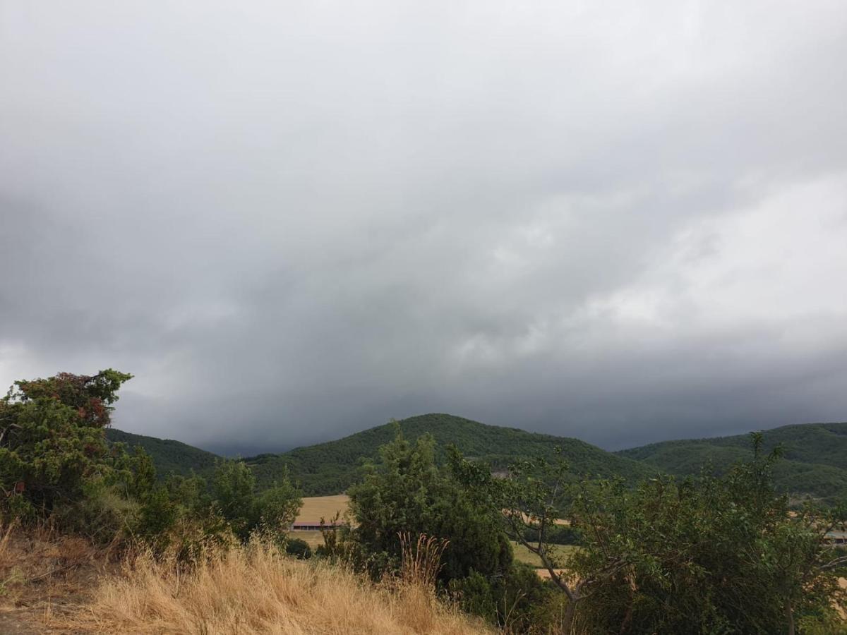 Preciosas Vistas A La Montana, Luminoso Y Acogedor Apartment El Pueyo de Araguás Екстериор снимка